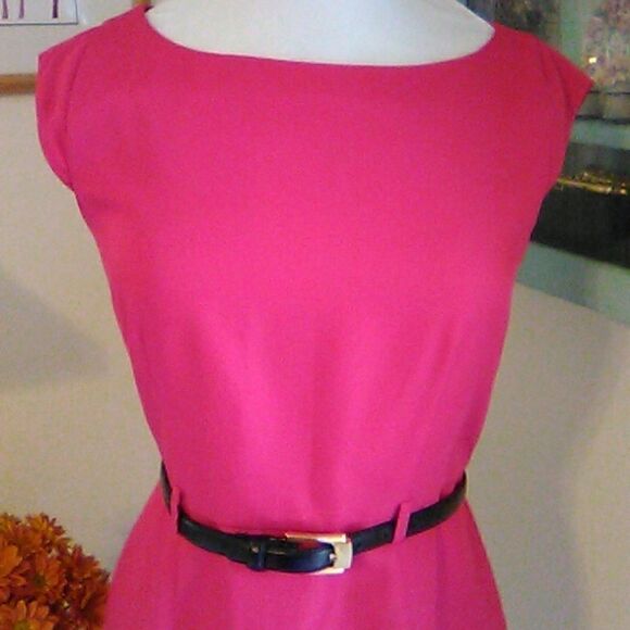 NWOT Banana Republic Deep Pink Sheath Dress - Picture 3 of 12